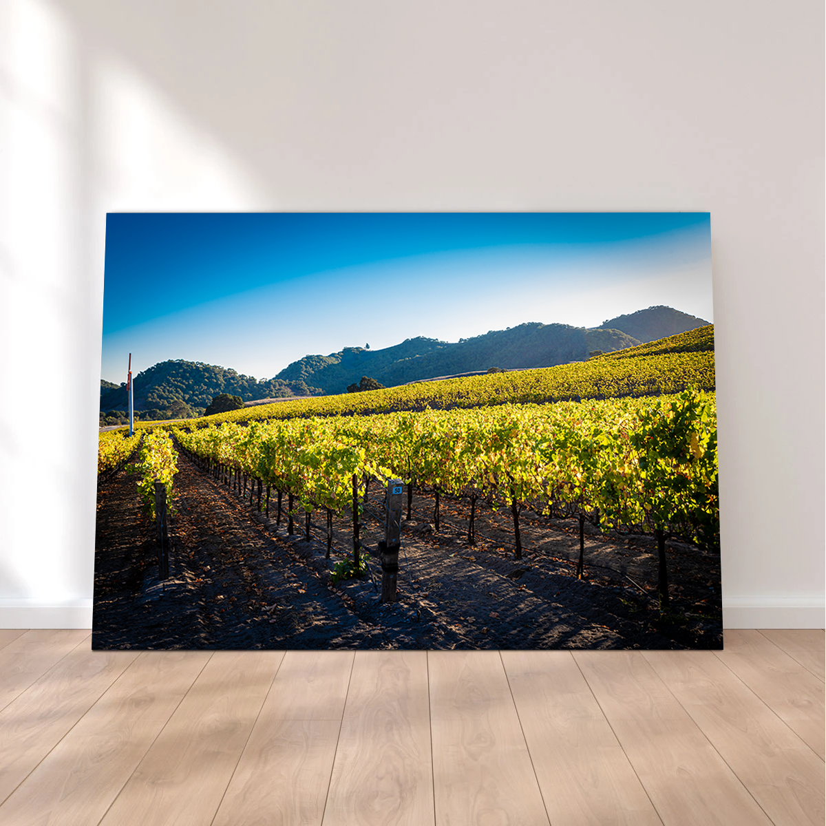 Central California Vineyard Wall Art