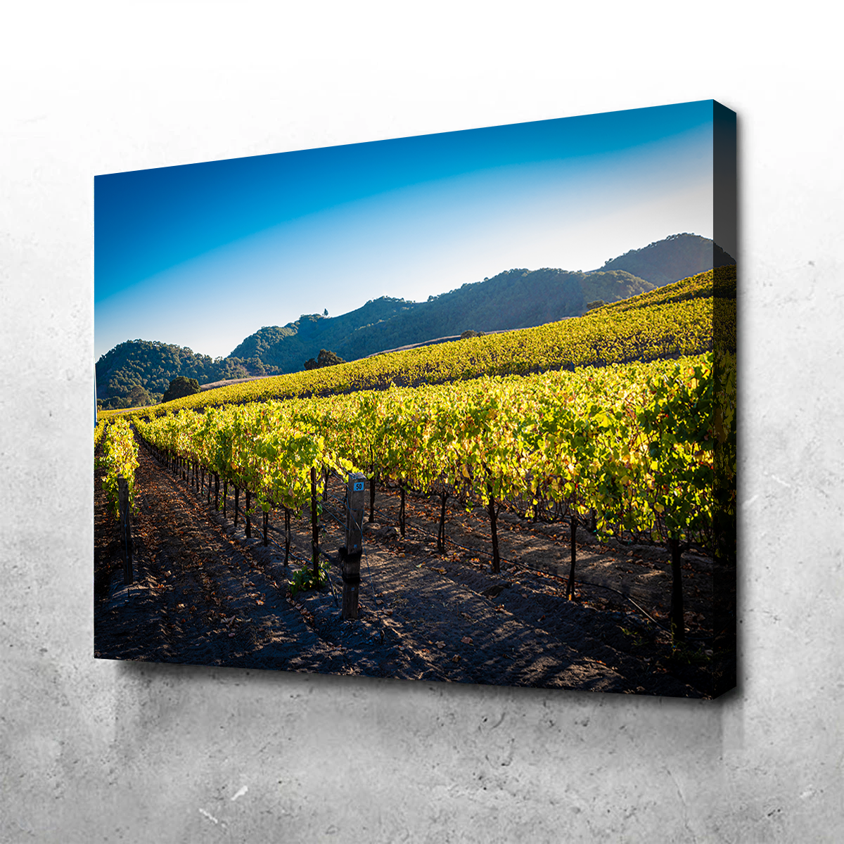 Central California Vineyard Wall Art