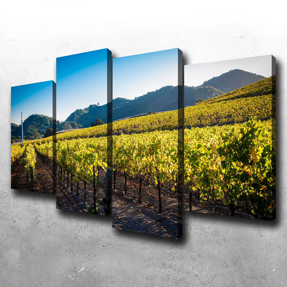 Central California Vineyard Wall Art