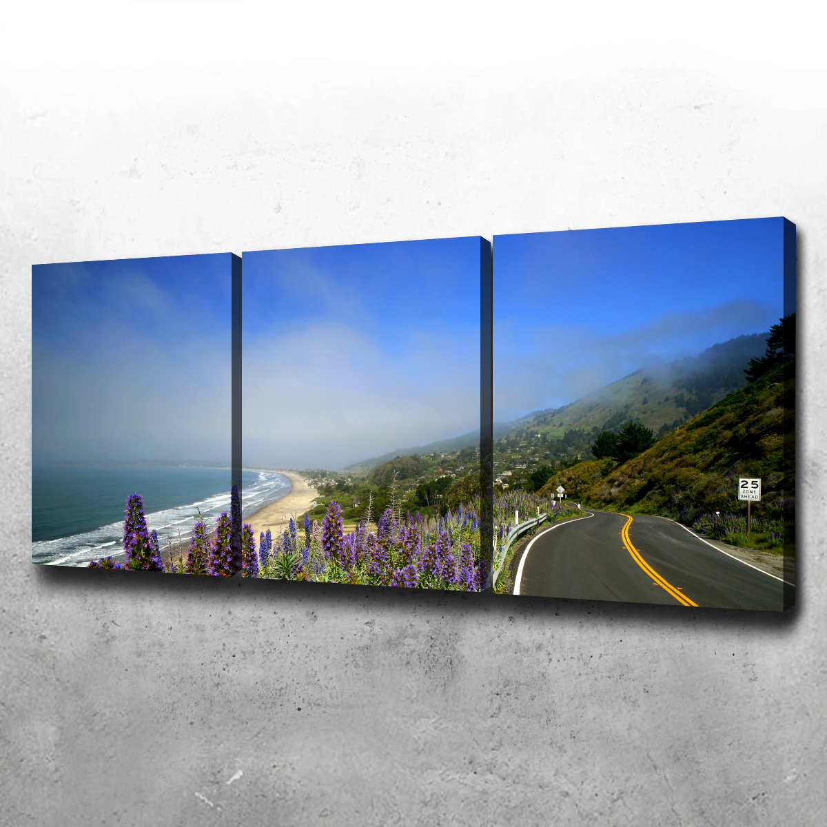Coastal Highway Wall Art