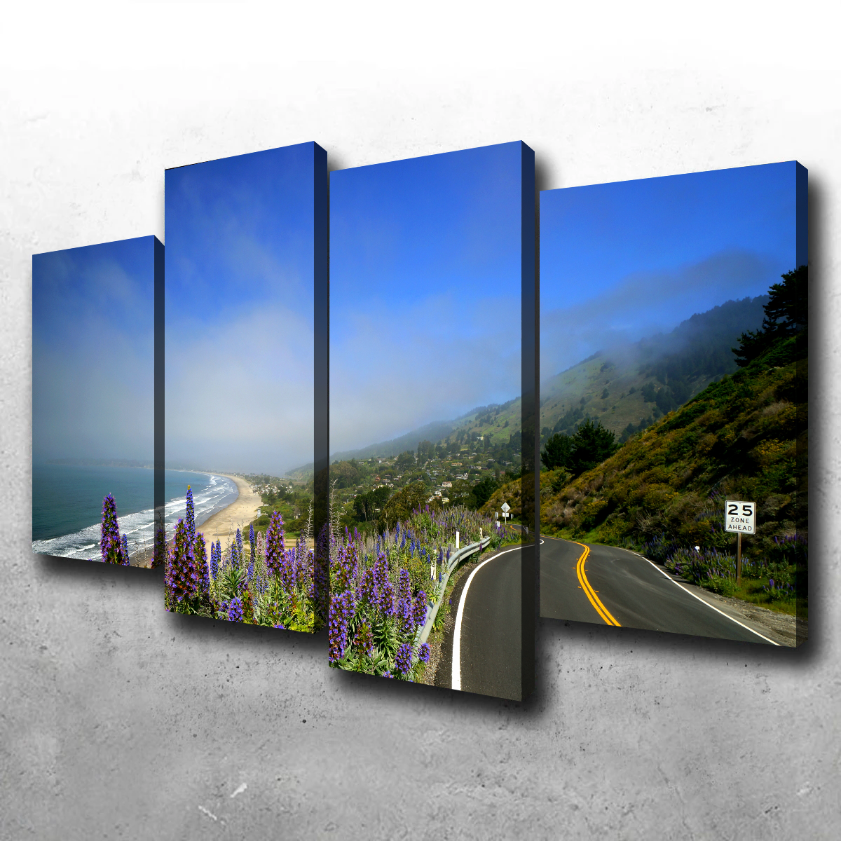 Coastal Highway Wall Art