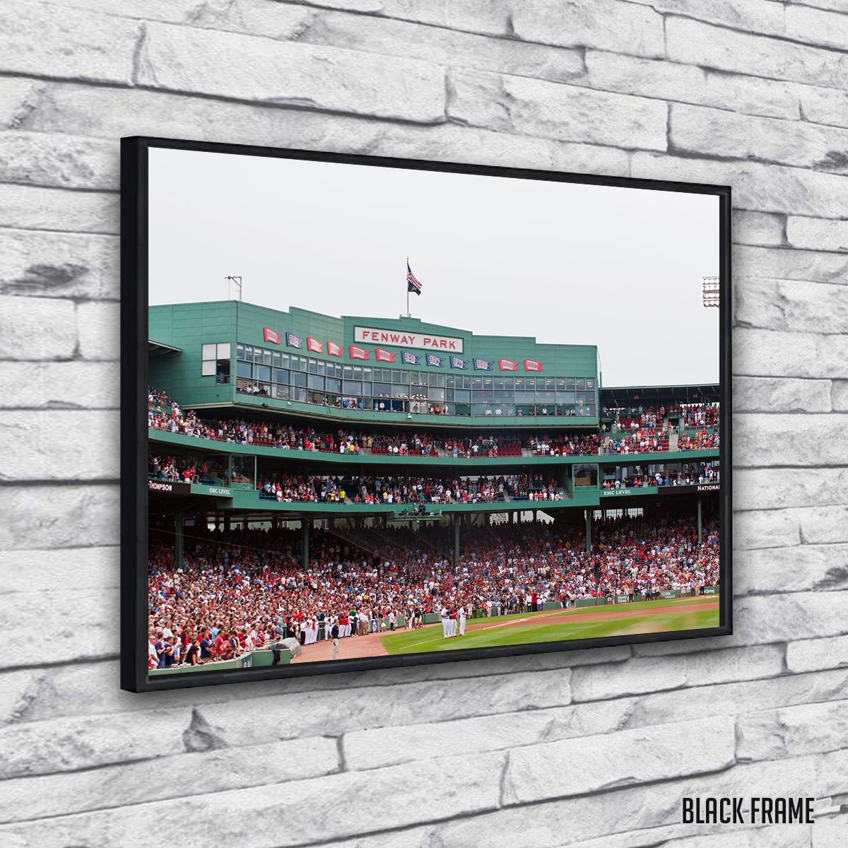 Fenway Field Canvas Wall Art