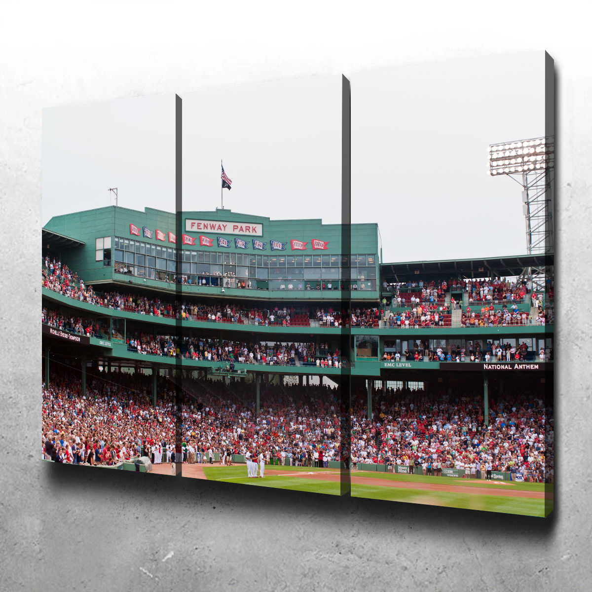Fenway Field Canvas Wall Art