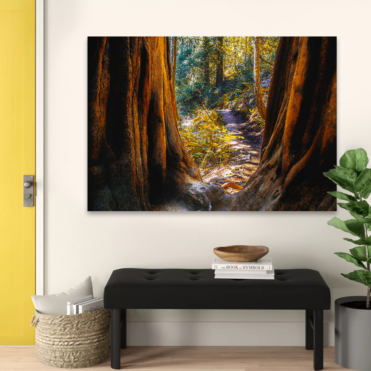 Muir Woods Wall Art