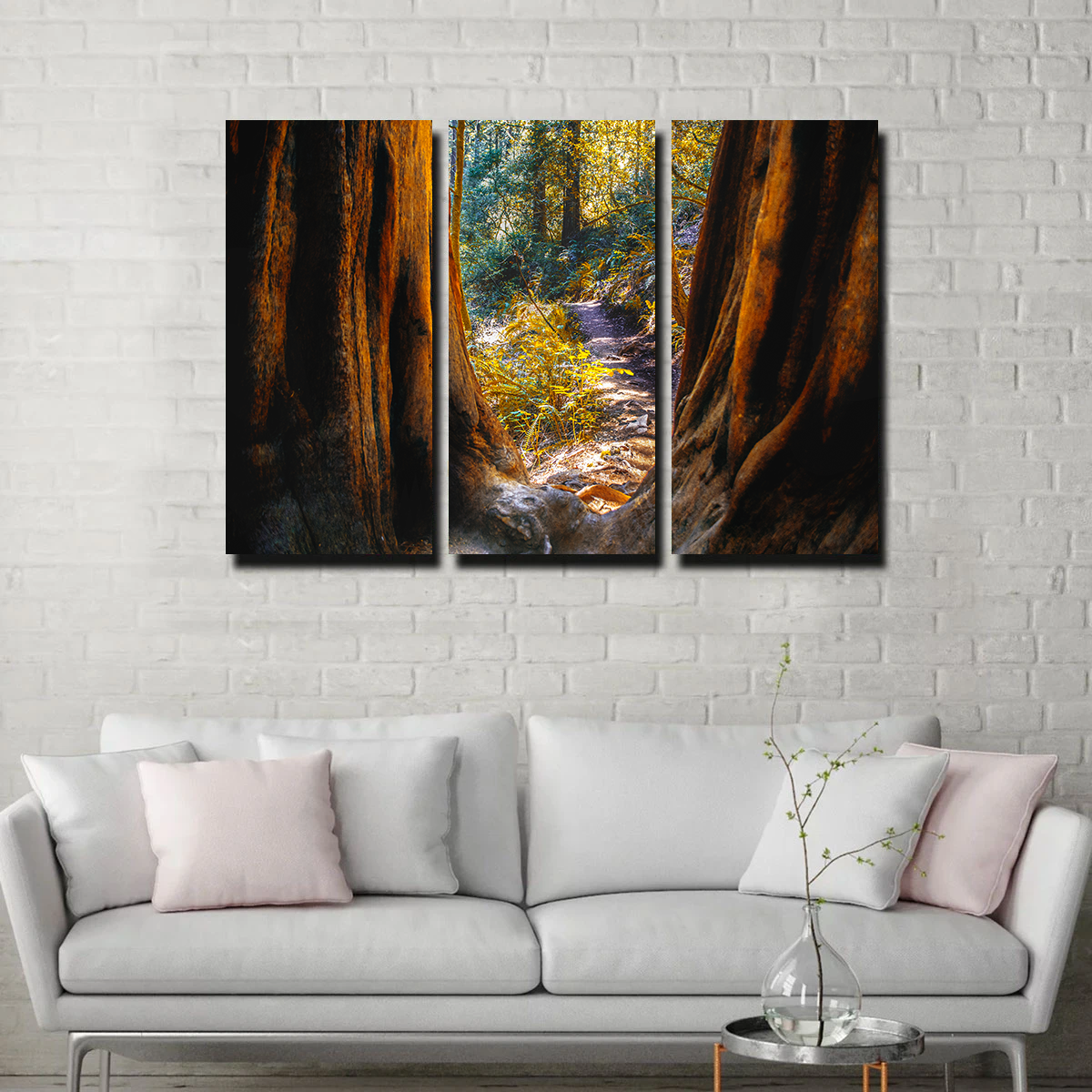 Muir Woods Wall Art
