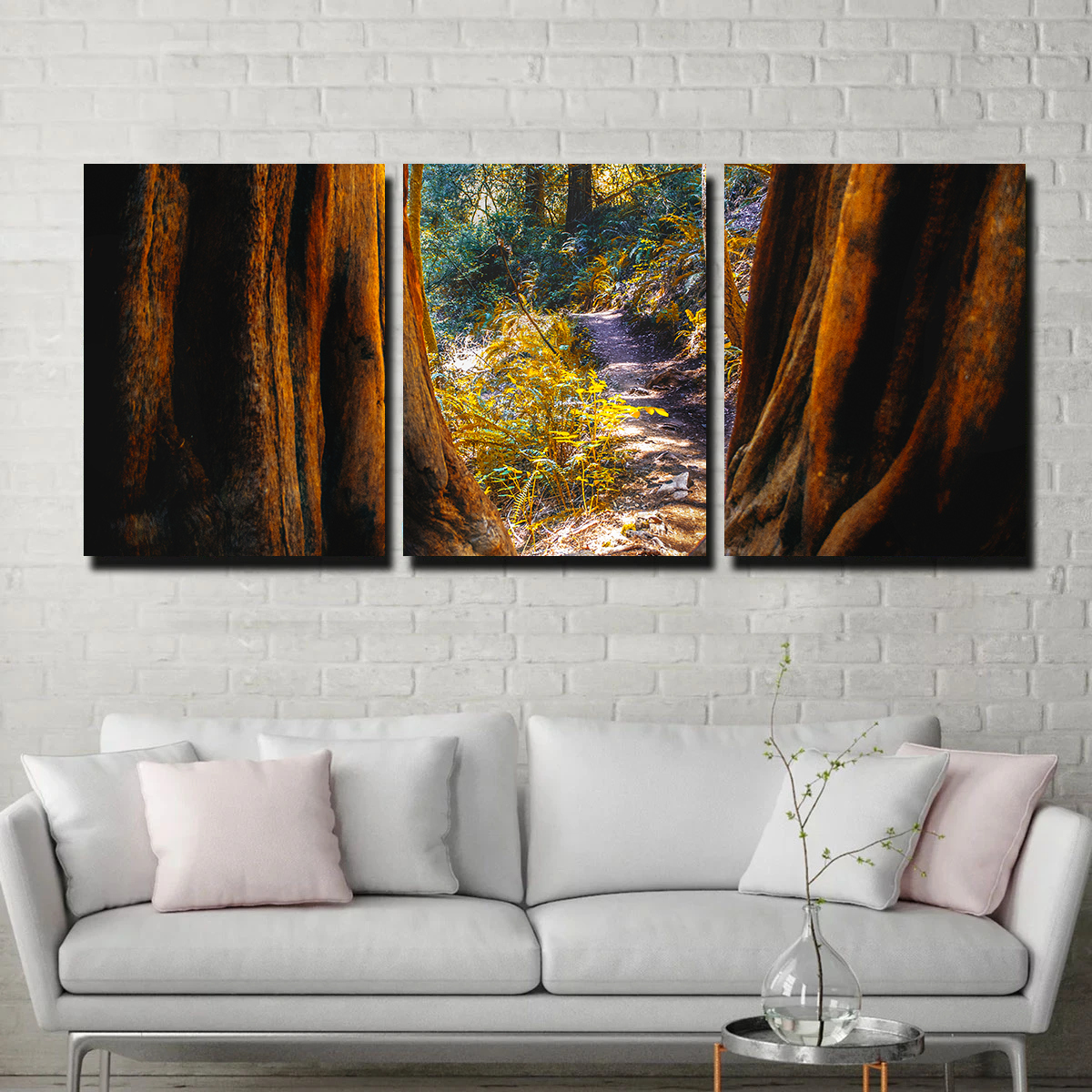 Muir Woods Wall Art