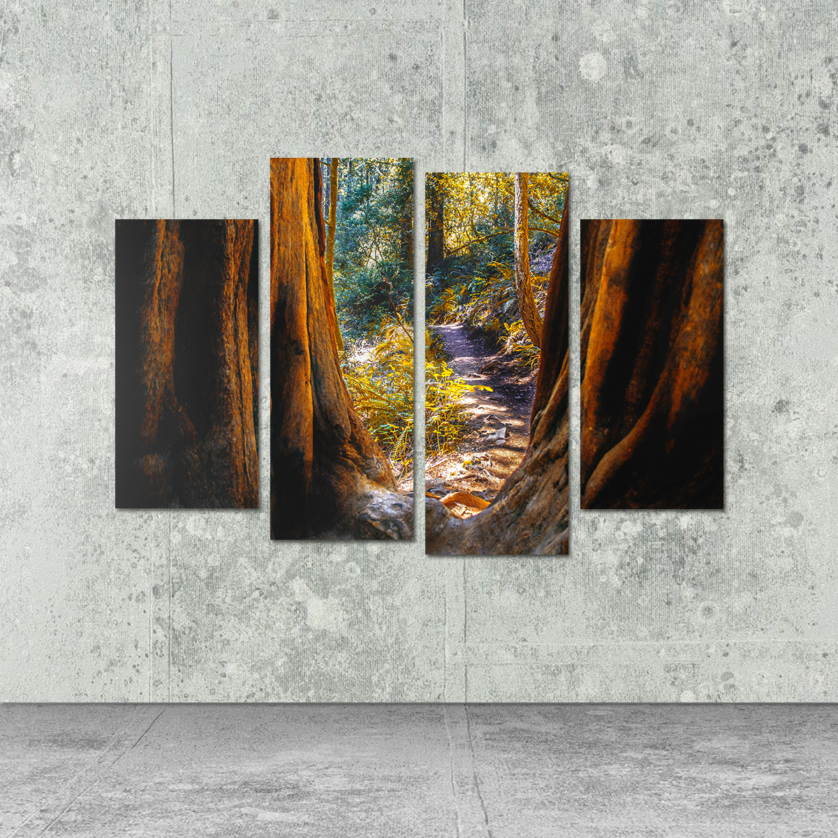 Muir Woods Wall Art