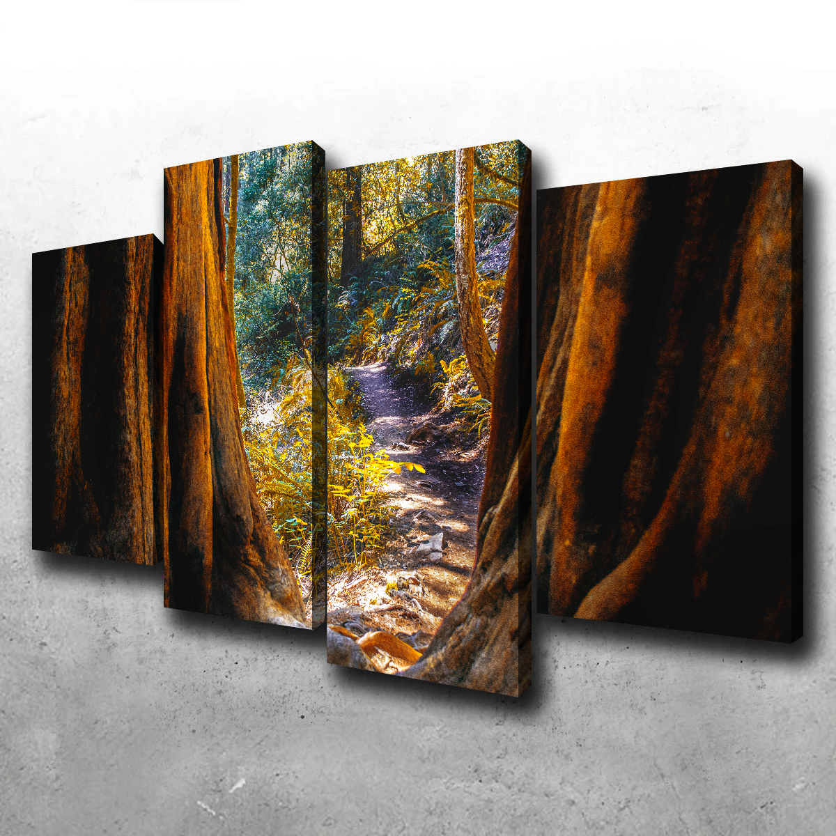 Muir Woods Wall Art