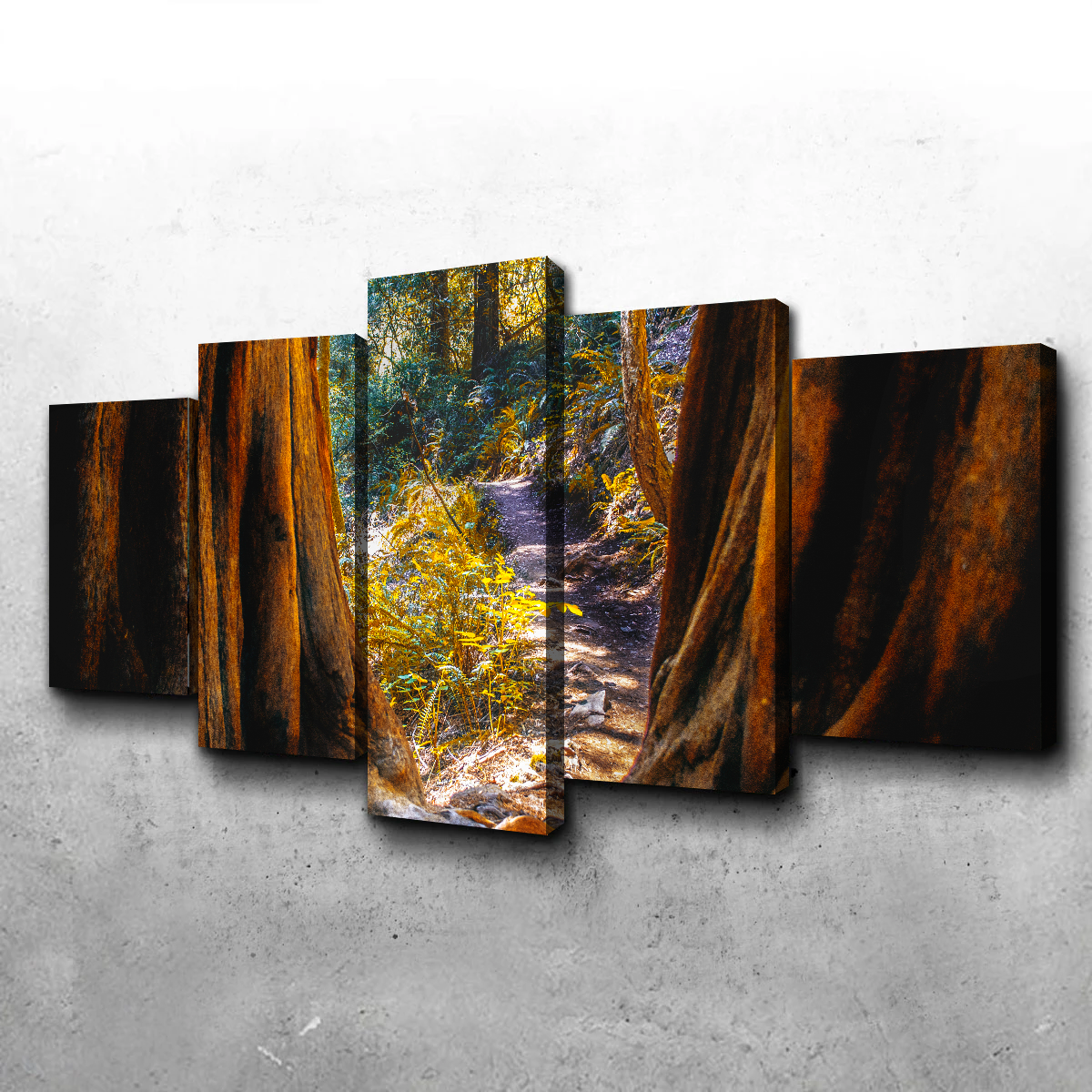 Muir Woods Wall Art