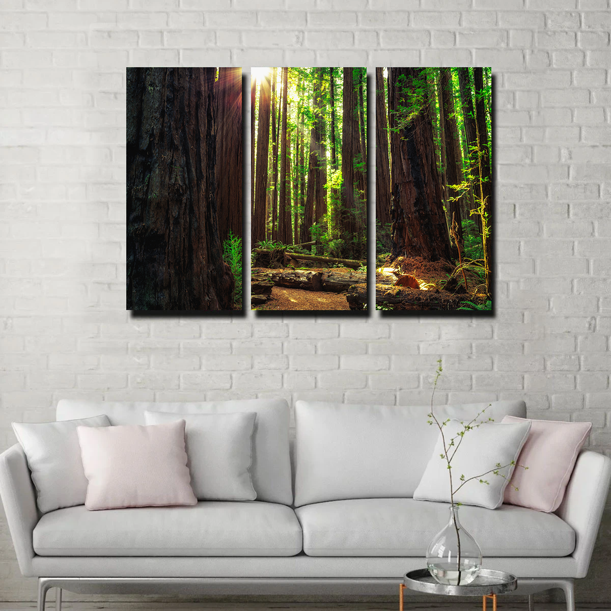 Sunrise in the Redwoods Wall Art