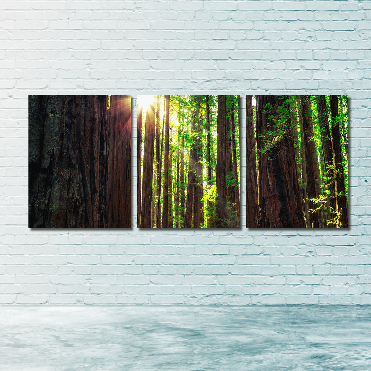 Sunrise in the Redwoods Wall Art