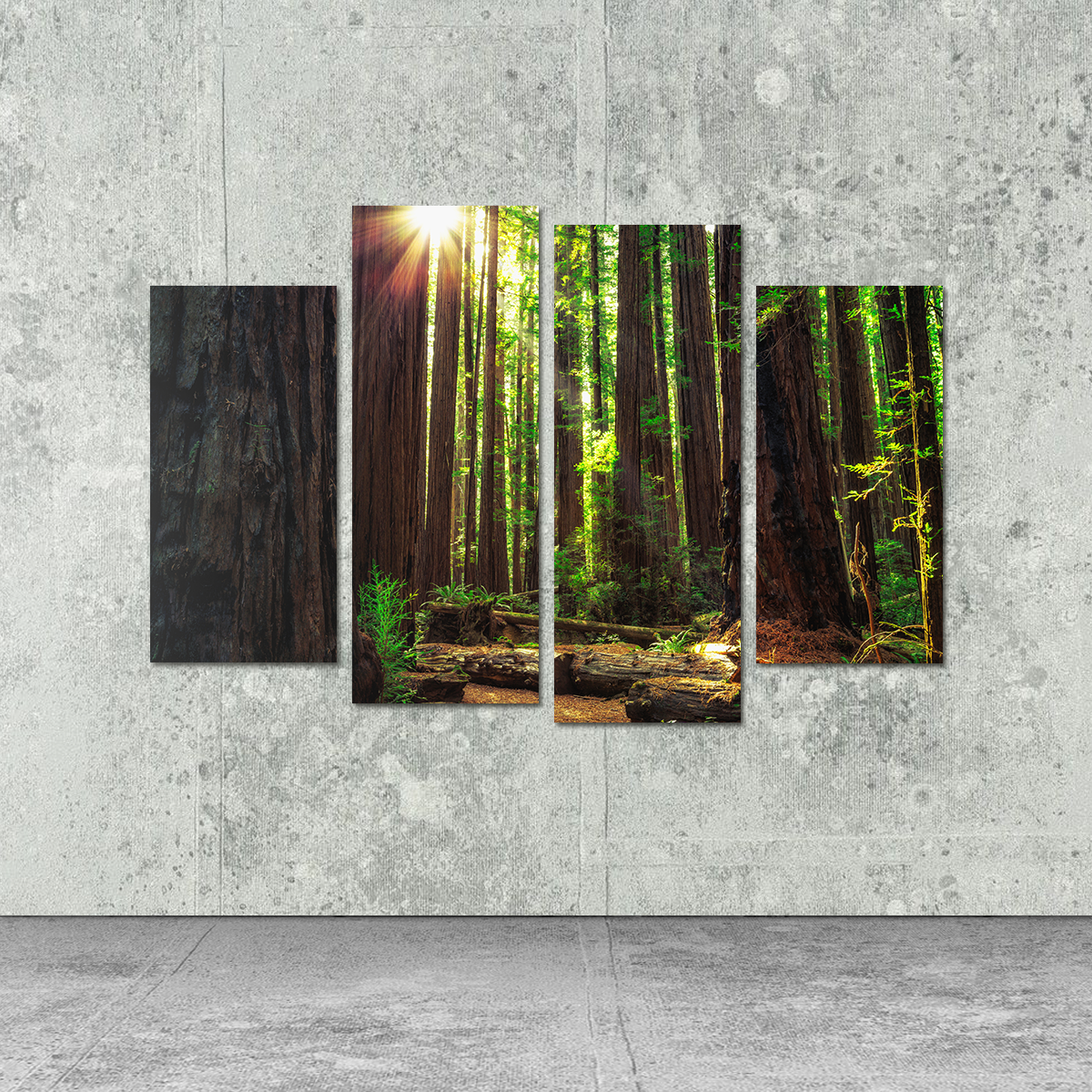 Sunrise in the Redwoods Wall Art