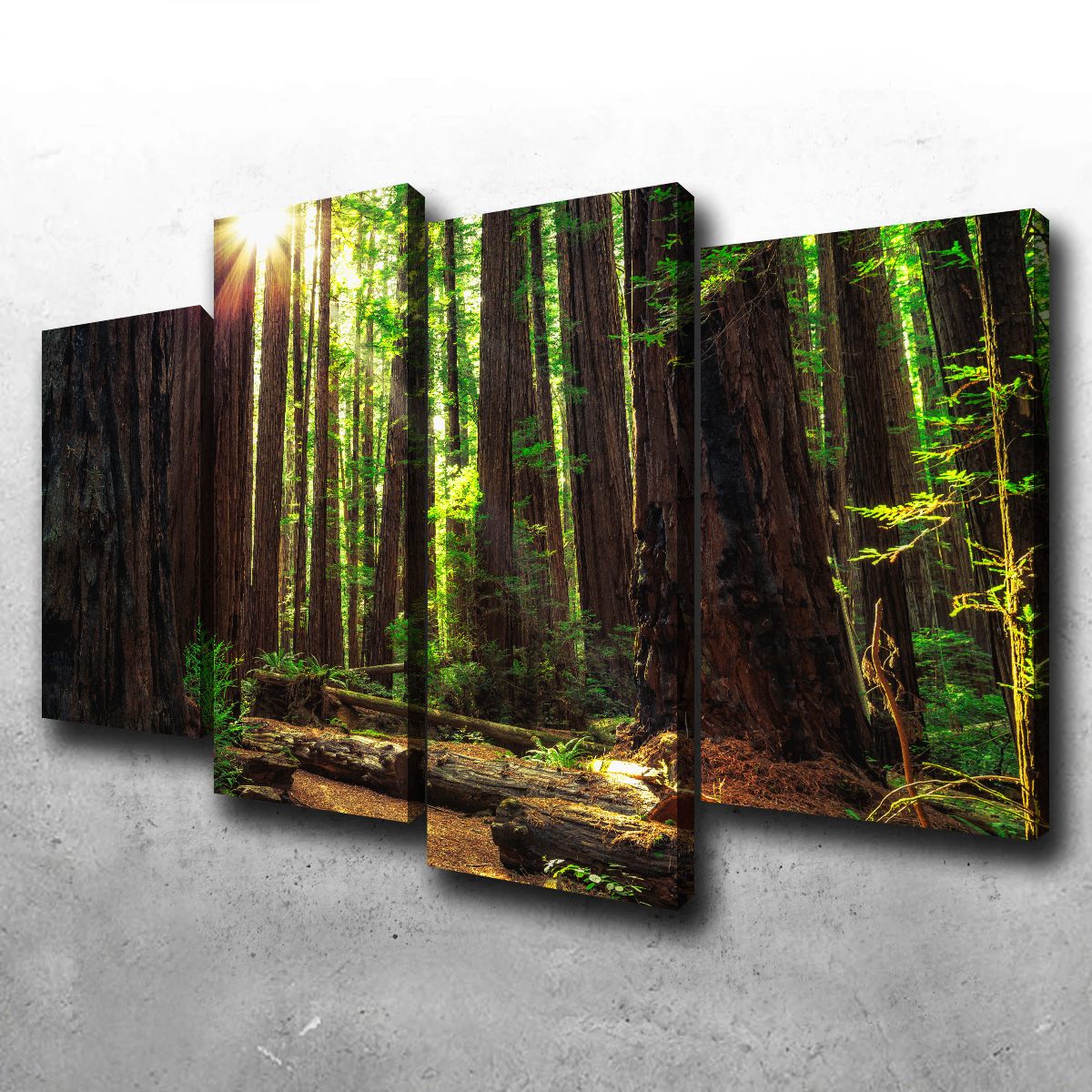 Sunrise in the Redwoods Wall Art