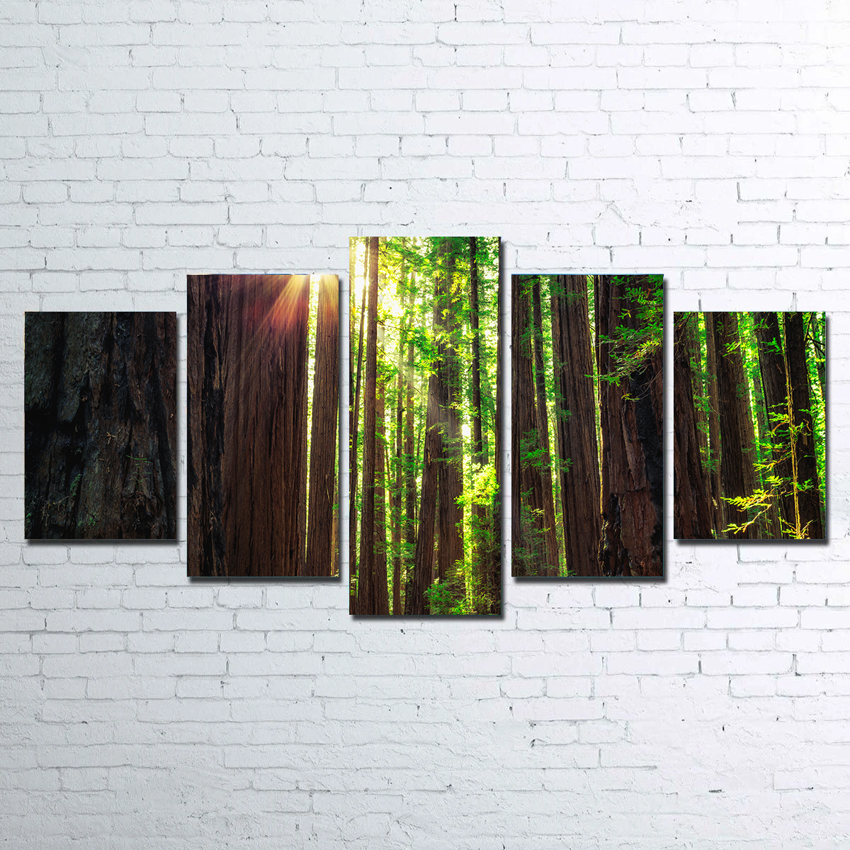 Sunrise in the Redwoods Wall Art