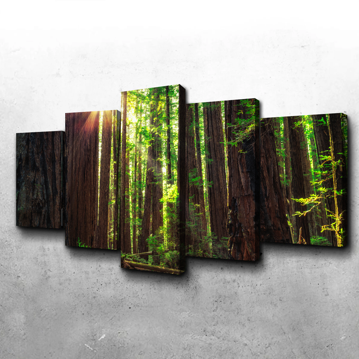 Sunrise in the Redwoods Wall Art