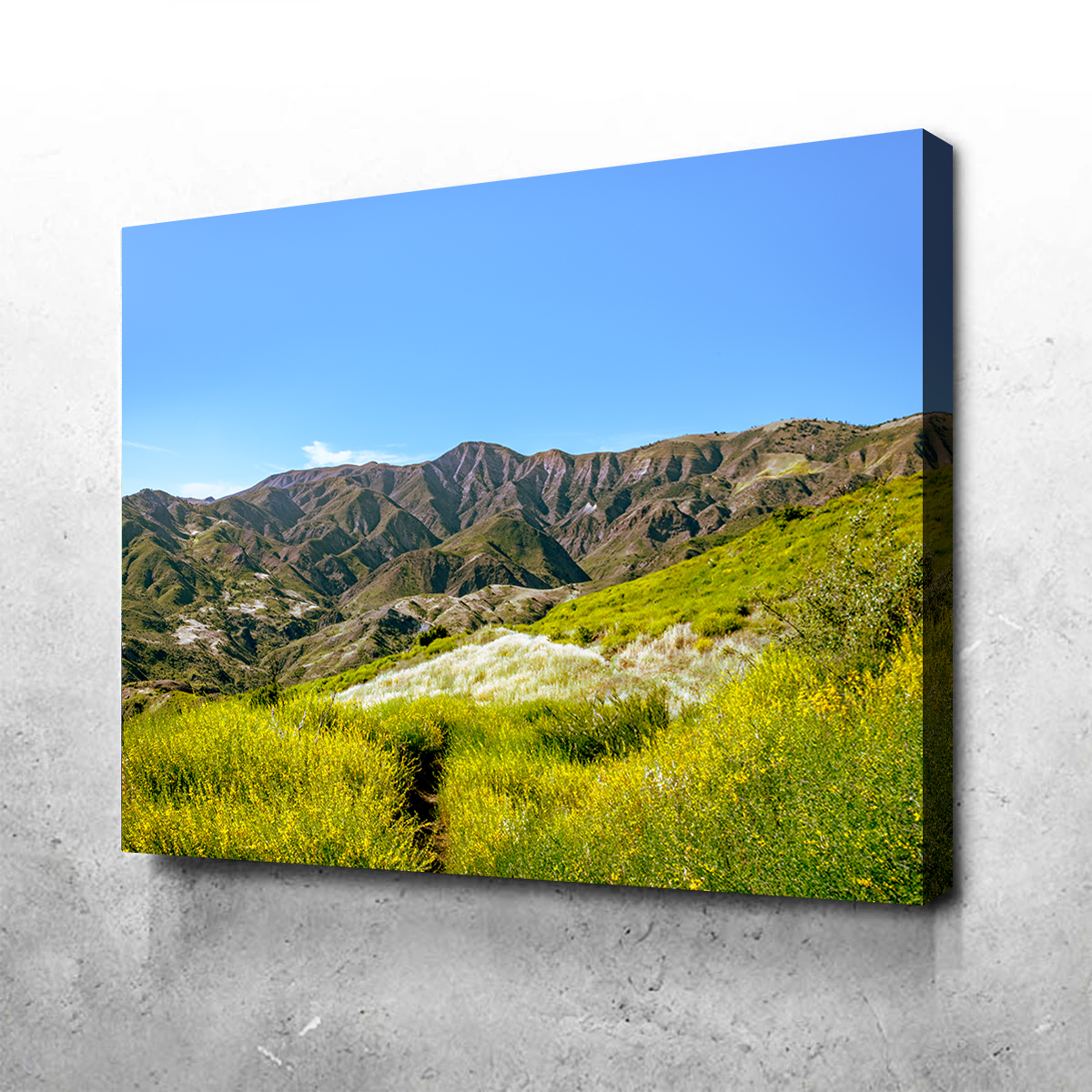 Alexander Peak Wall Art