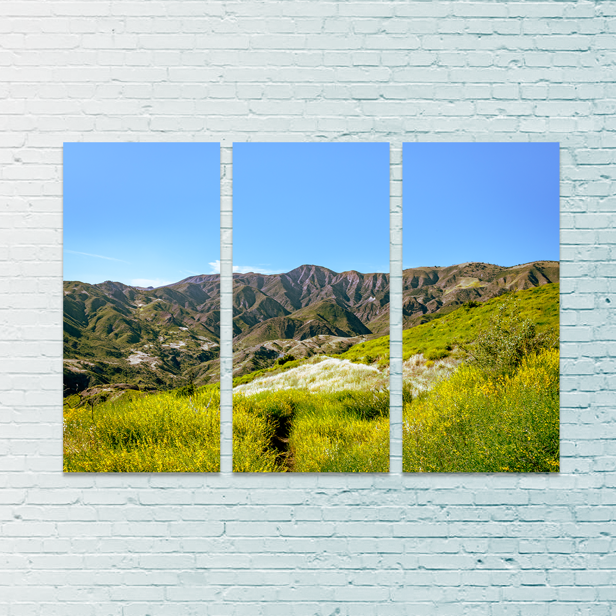 Alexander Peak Wall Art