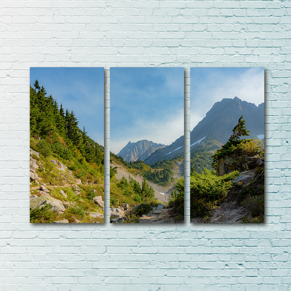 Treeline at Cascade Pass Wall Art