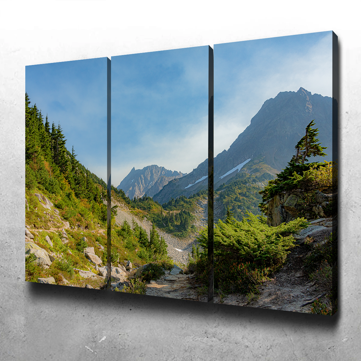Treeline at Cascade Pass Wall Art
