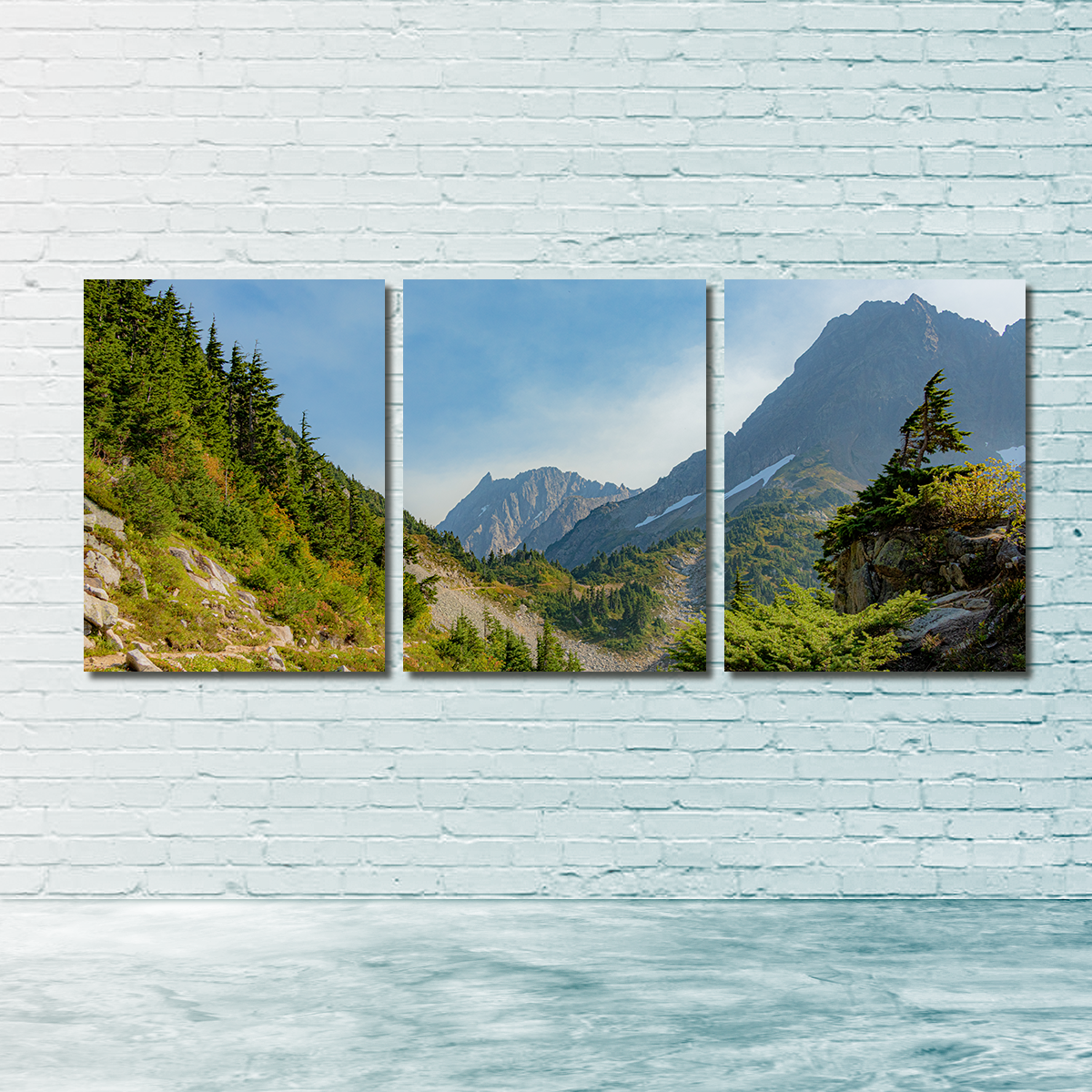 Treeline at Cascade Pass Wall Art
