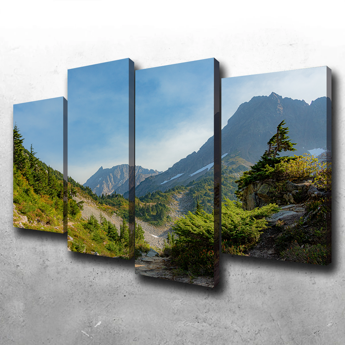 Treeline at Cascade Pass Wall Art