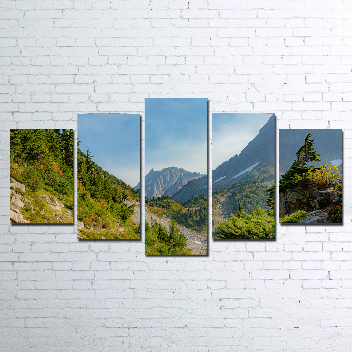 Treeline at Cascade Pass Wall Art