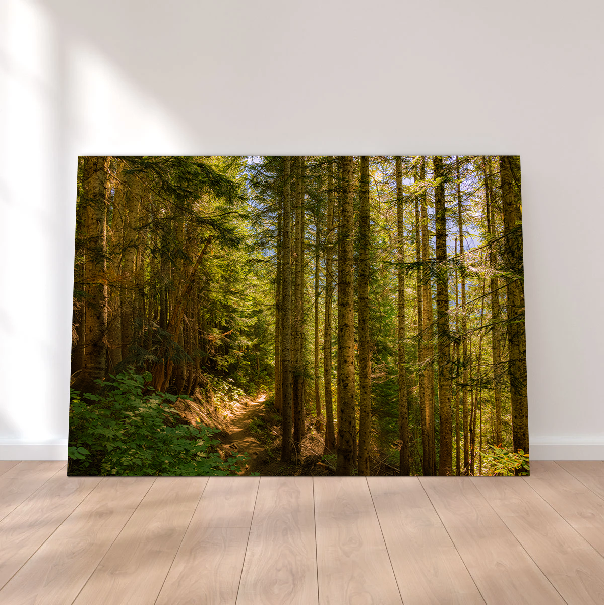 Cascade Pass Wall Art