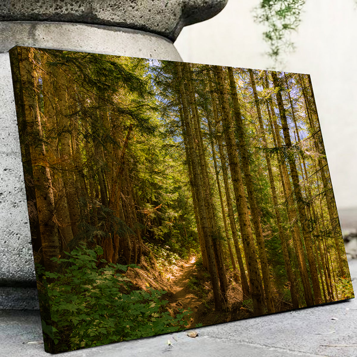 Cascade Pass Wall Art