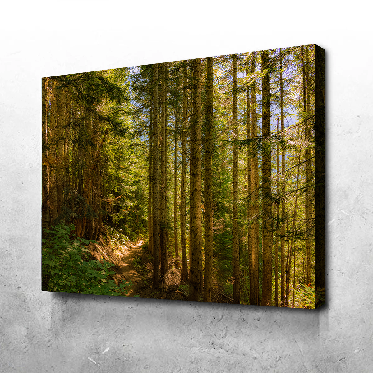 Cascade Pass Wall Art