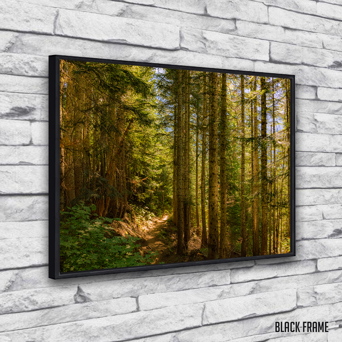 Cascade Pass Wall Art