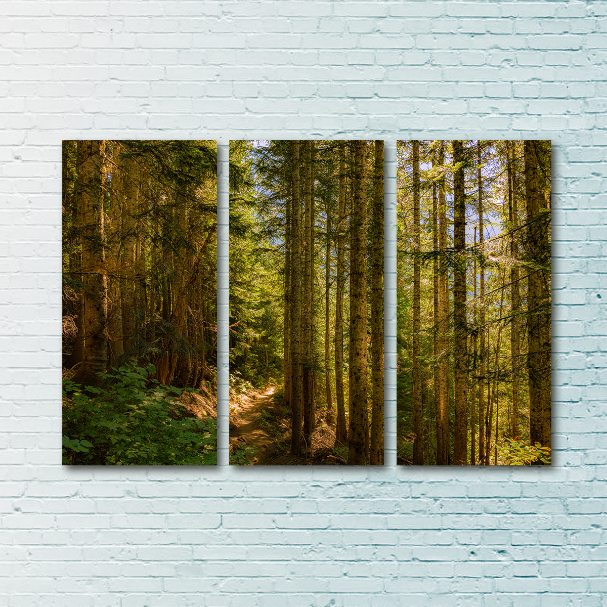Cascade Pass Wall Art