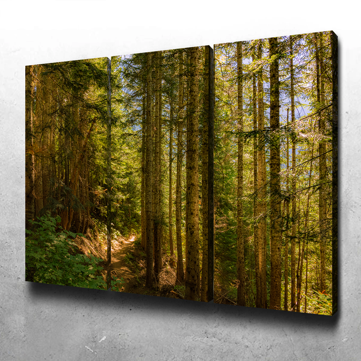 Cascade Pass Wall Art
