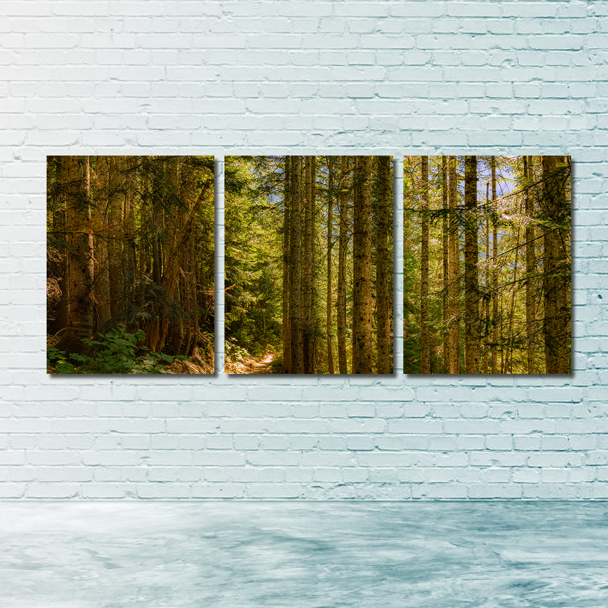 Cascade Pass Wall Art
