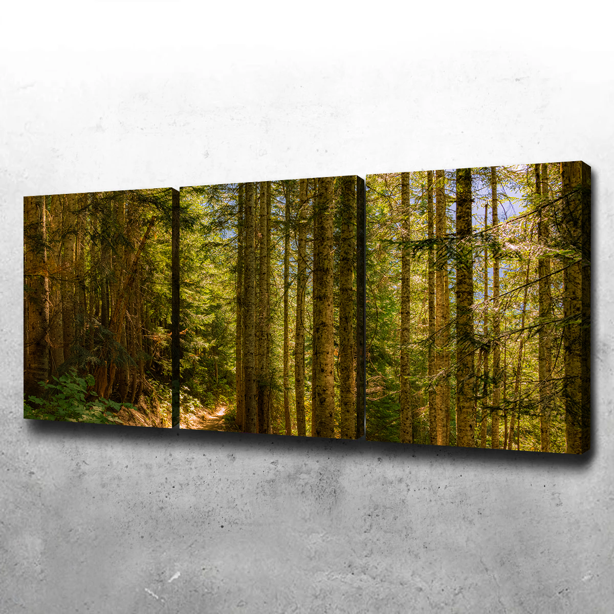 Cascade Pass Wall Art