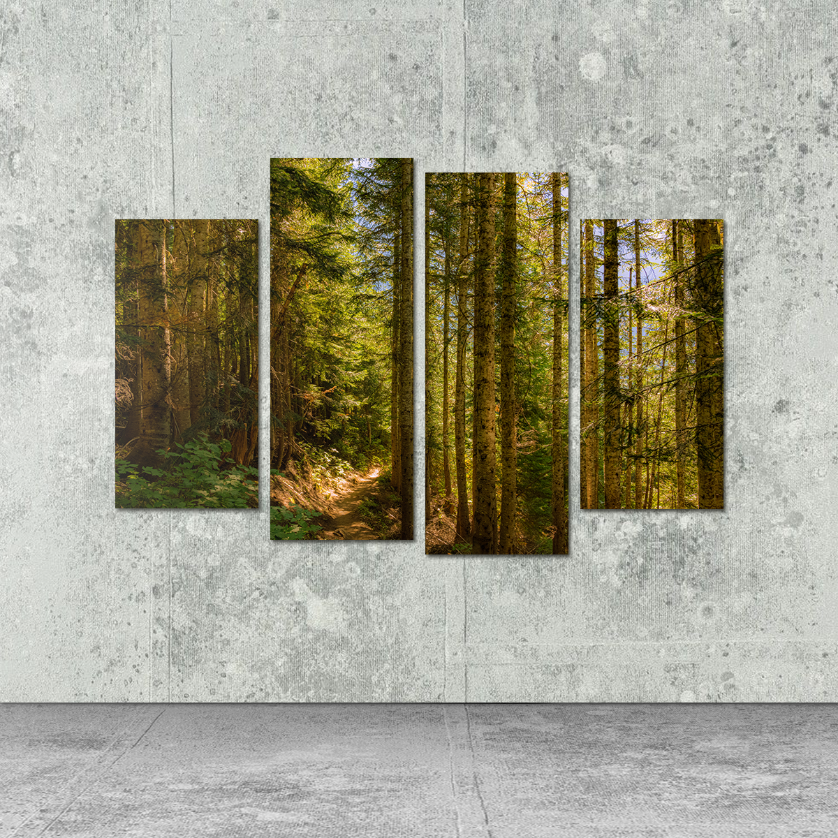 Cascade Pass Wall Art