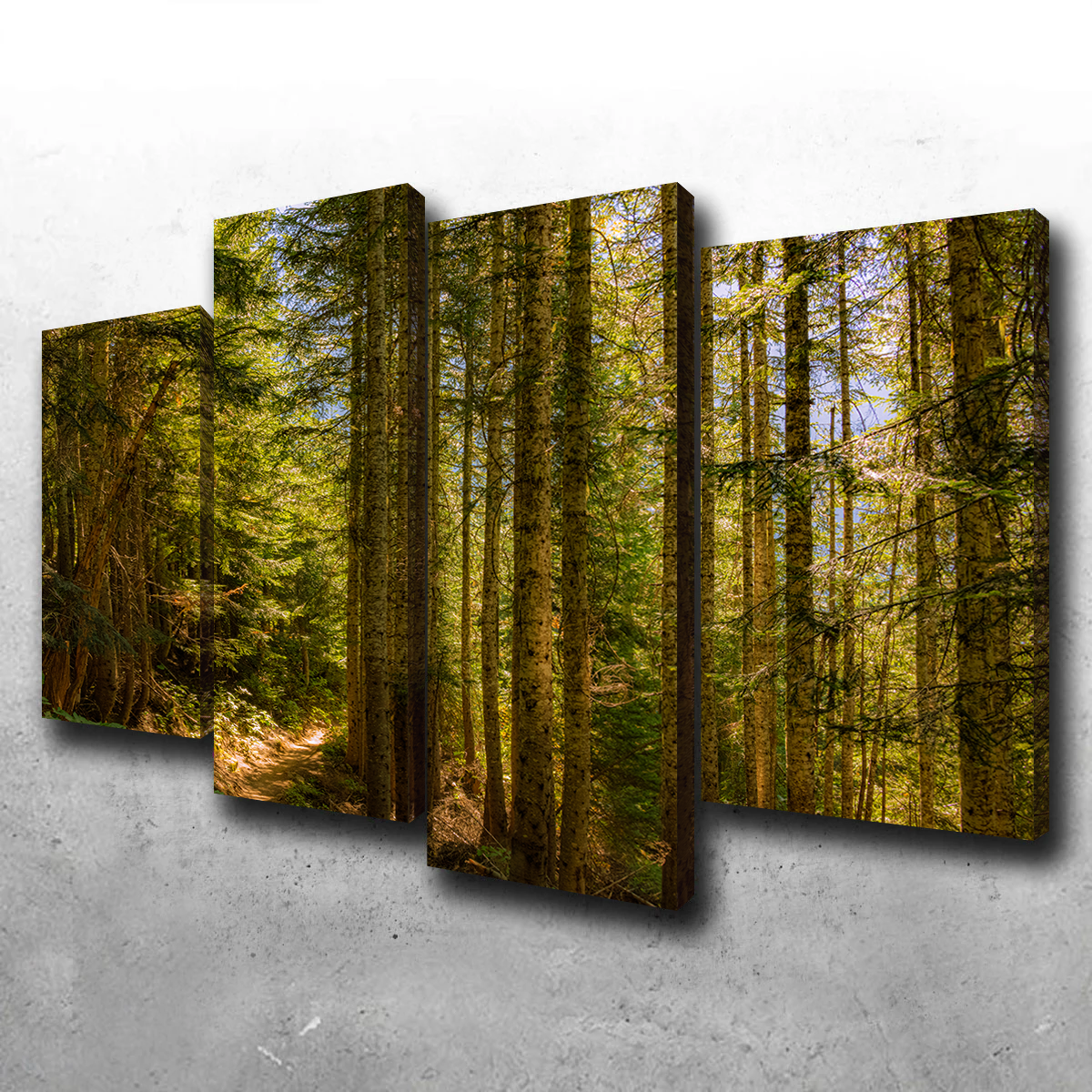 Cascade Pass Wall Art