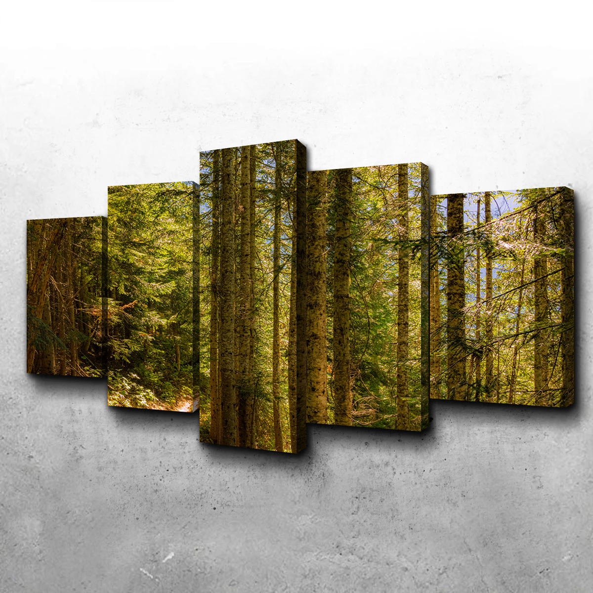 Cascade Pass Wall Art