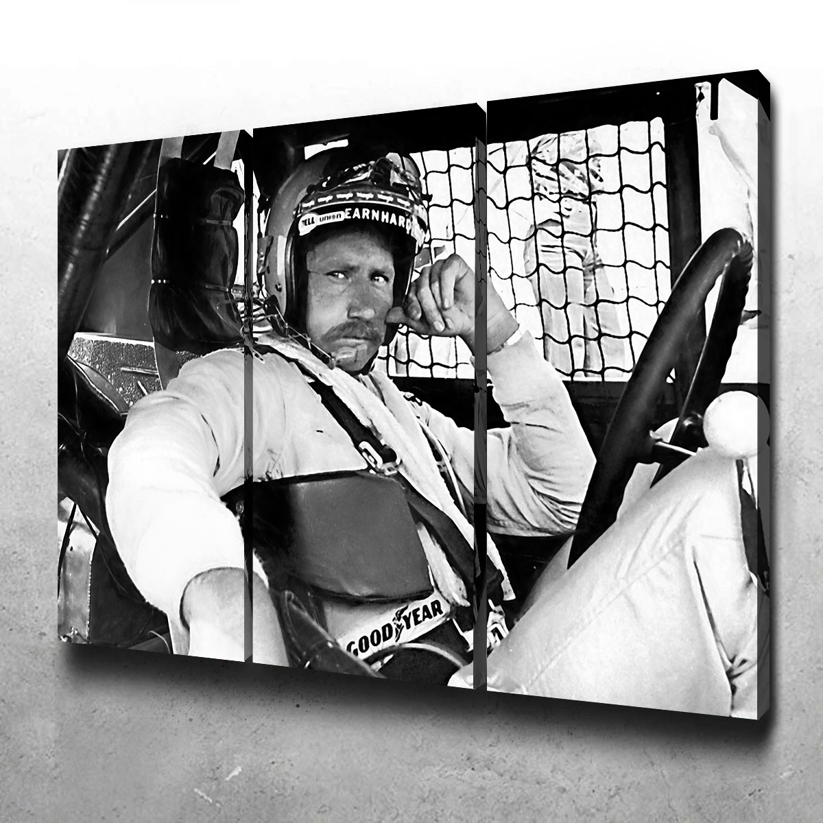 Dale Earnhardt Wall Art