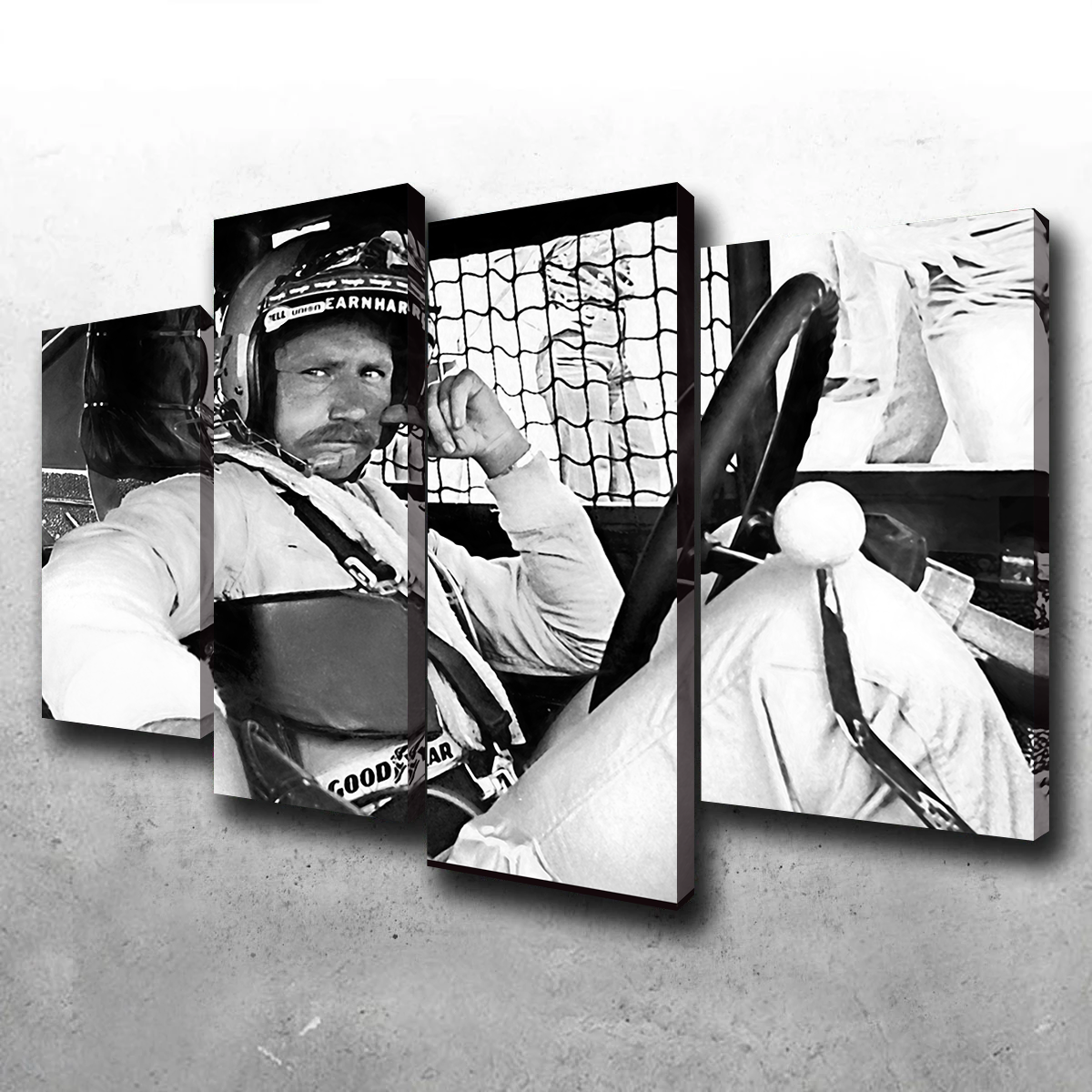 Dale Earnhardt Wall Art