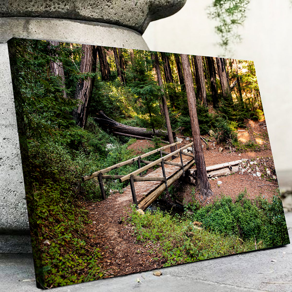 Ewoldsen Loop Bridge Wall Art
