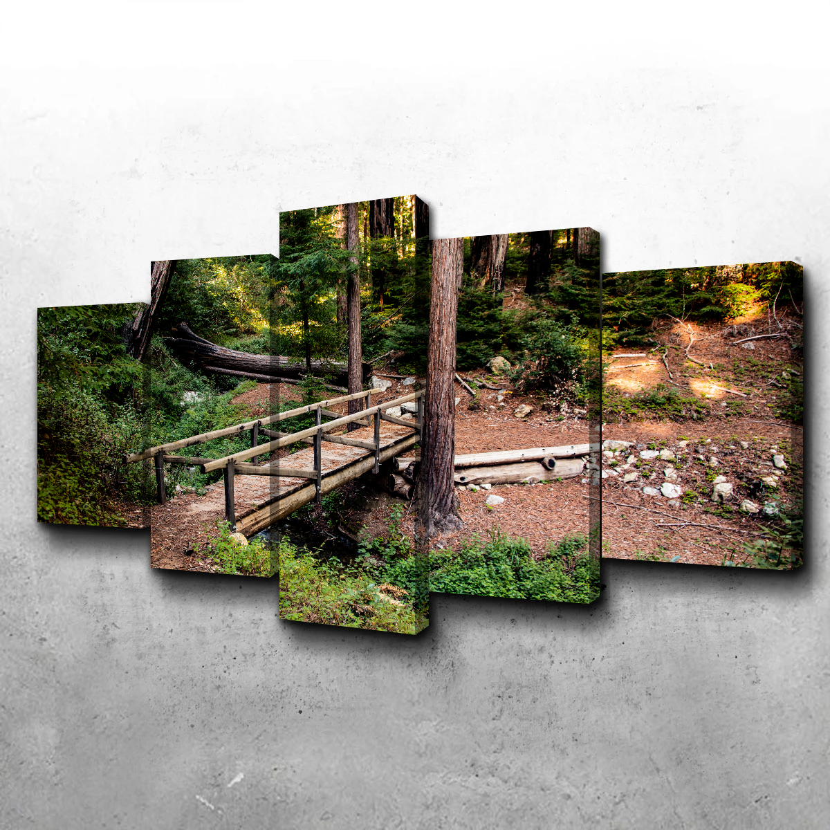 Ewoldsen Loop Bridge Wall Art