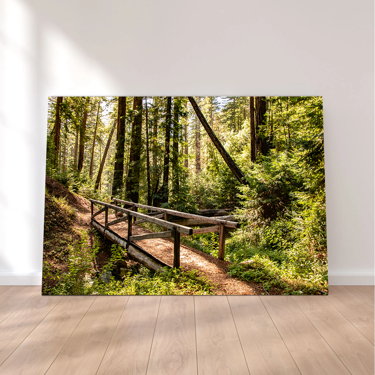 Ewoldsen Trail Bridge Wall Art