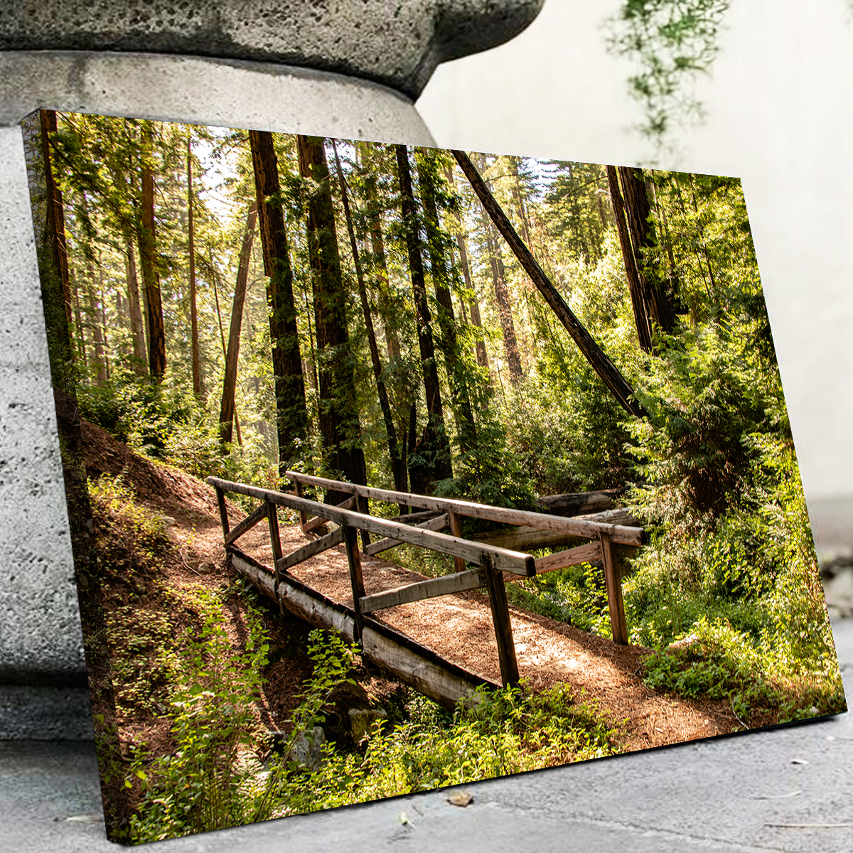 Ewoldsen Trail Bridge Wall Art