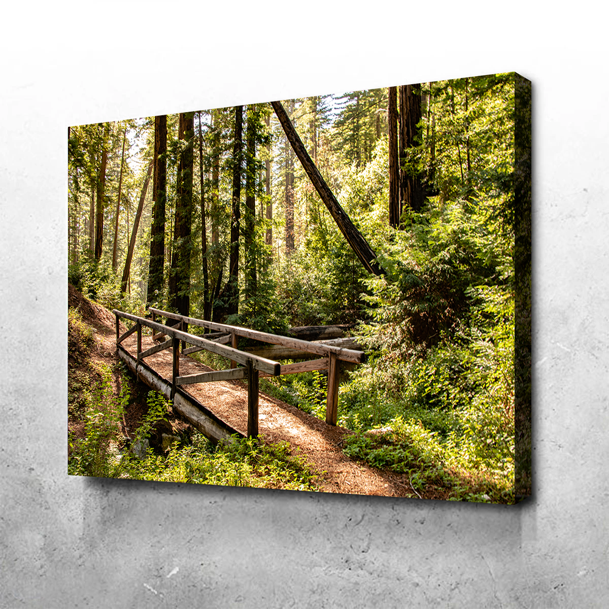 Ewoldsen Trail Bridge Wall Art