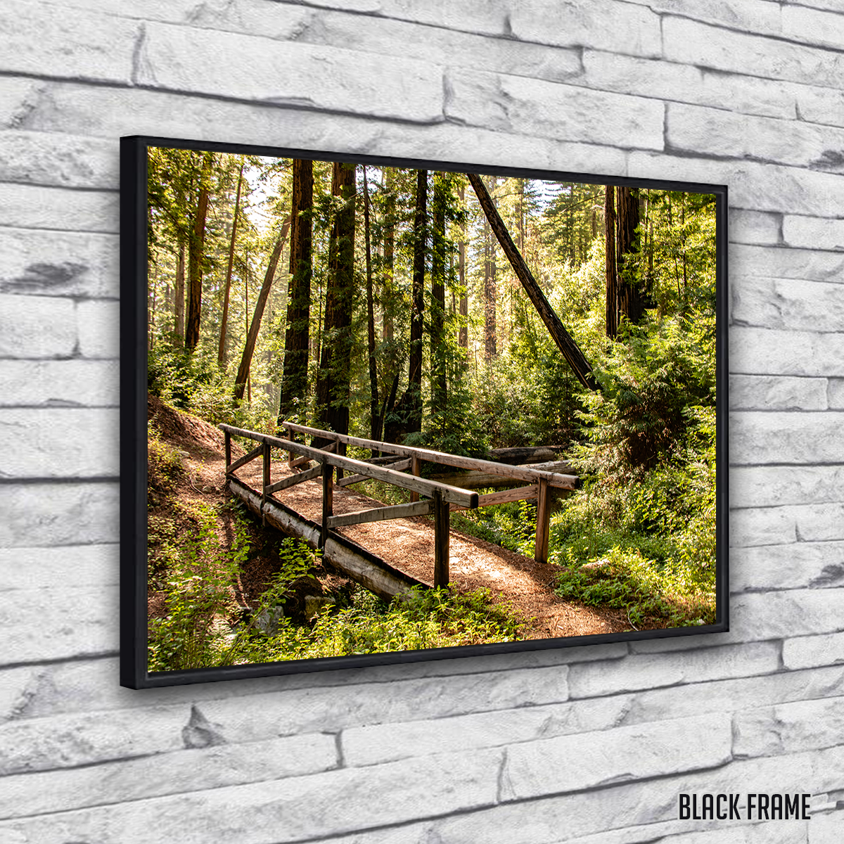 Ewoldsen Trail Bridge Wall Art