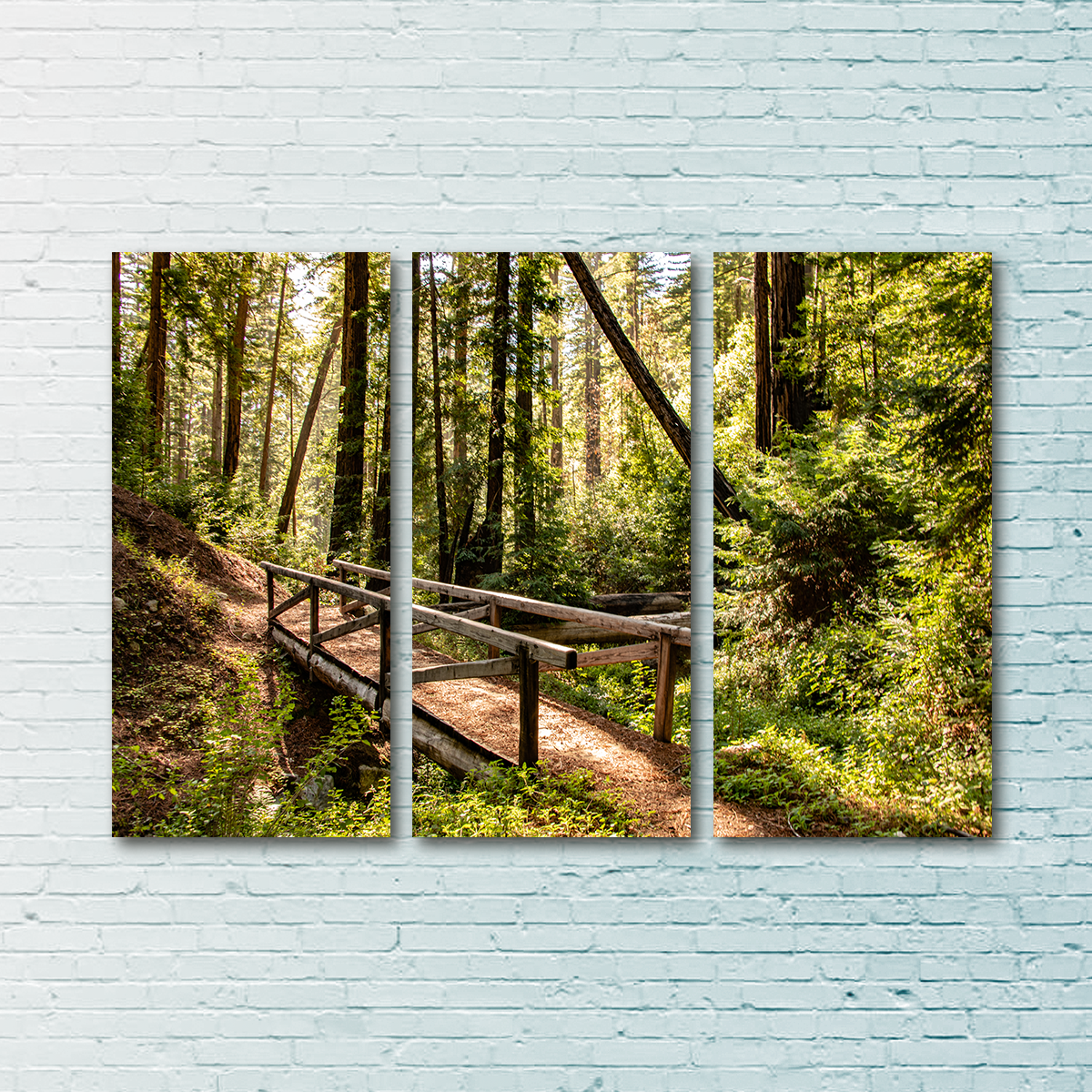 Ewoldsen Trail Bridge Wall Art