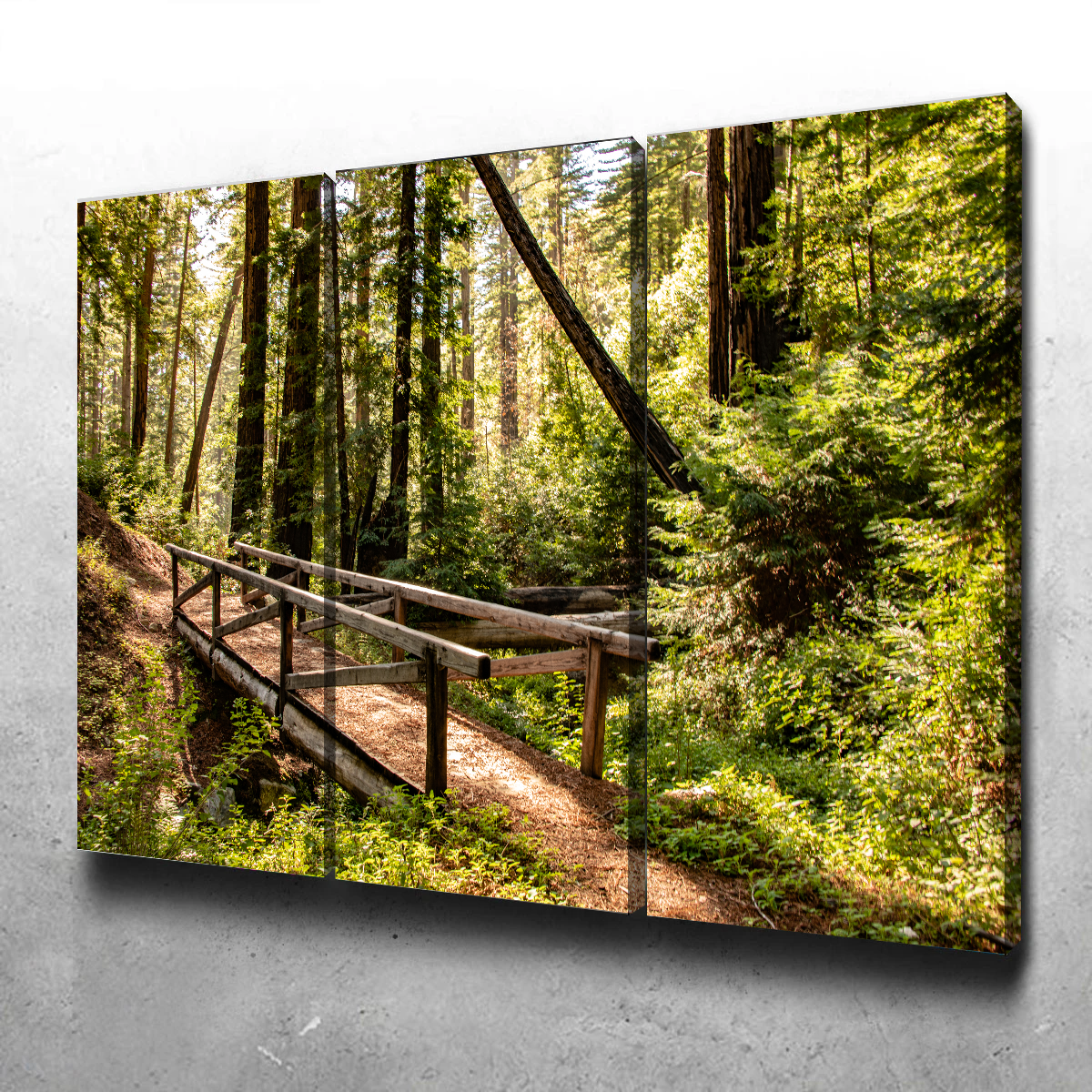 Ewoldsen Trail Bridge Wall Art