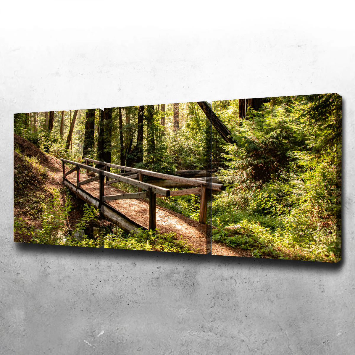 Ewoldsen Trail Bridge Wall Art