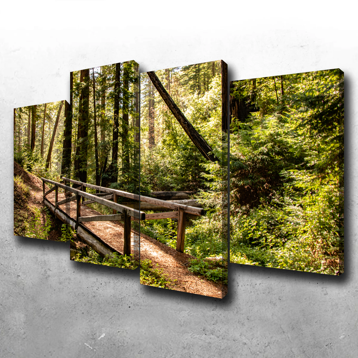 Ewoldsen Trail Bridge Wall Art