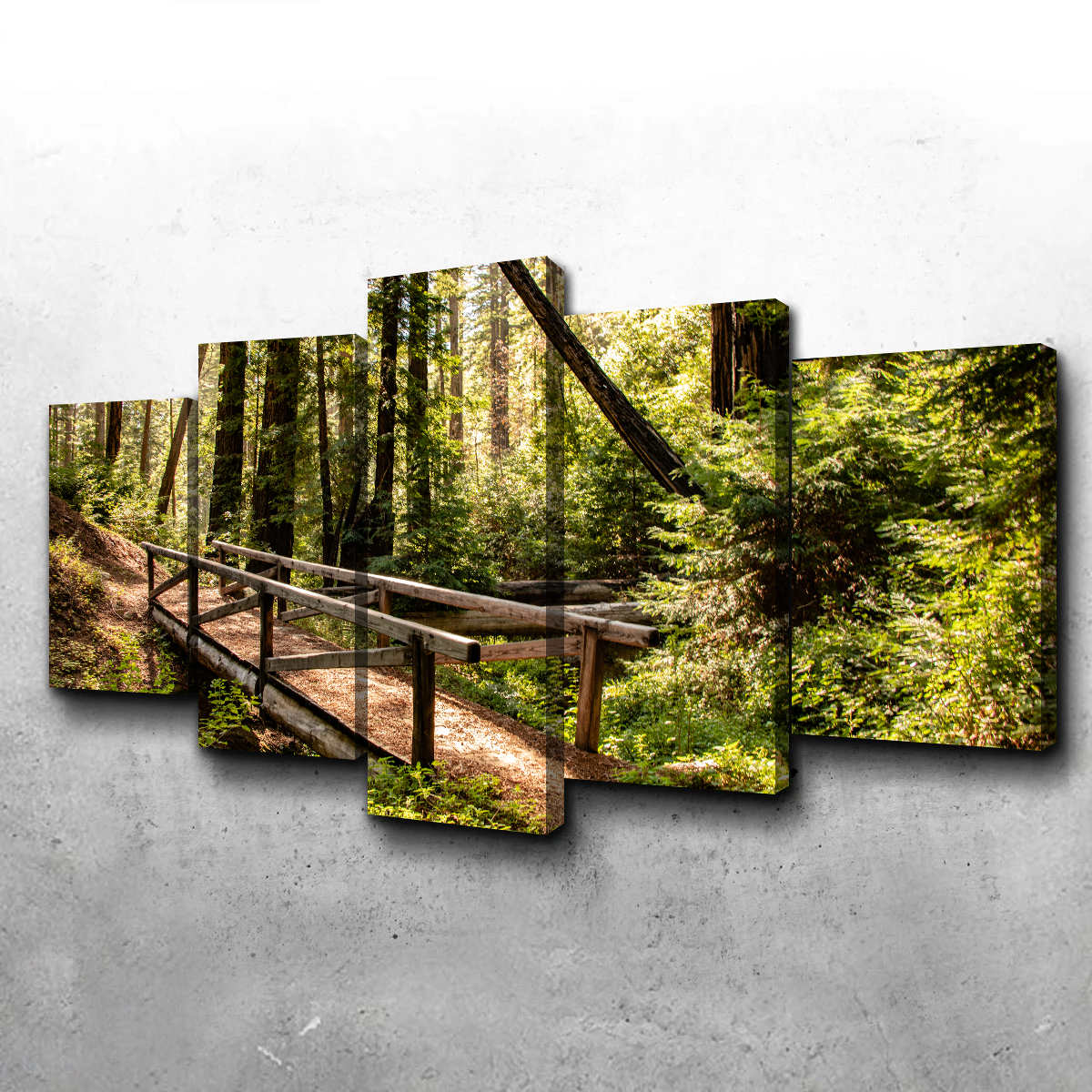 Ewoldsen Trail Bridge Wall Art